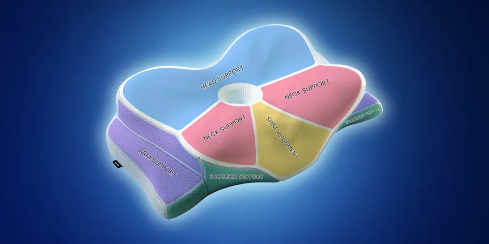 Ergonomic Cushion butterfly contour